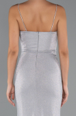 Robe de Soirée Longue Gris ABU5245