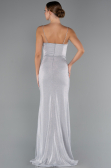 Robe de Soirée Longue Gris ABU5245