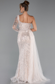 Robe de Soirée Longue Perlé Poudre ABU5269