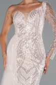 Robe de Soirée Longue Perlé Poudre ABU5269