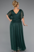 Robe de Soirée Grande Taille Longue Émeraude ABU5323