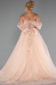 Robes De Soirée Grande Taille Longue Saumon ABU4722