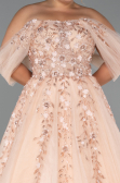 Robes De Soirée Grande Taille Longue Saumon ABU4722