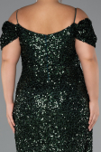 Robe De Soirée Grande Taille Longue Émeraude ABU5232