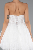 Robes de Mariage Mini Dantelle Blanc ABG164