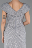 Robe De Fiançailles Grande Taille Longue Perlé Gris ABU5444