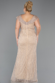 Robe de Soirée Grande Taille Longue Pierreux Beige ABU5439