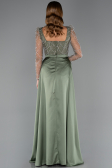 Robe De Fiançailles Grande Taille Perlé Longue Kaki ABU4761