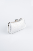 Sac de Soirée Luxe A motifs Argent SH855