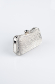 Sac de Soirée Luxe A motifs Platine SH855