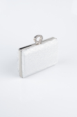 Sac de Soirée Luxe A motifs Argent SH858