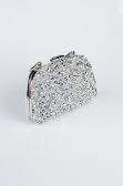Sac de Soirée Luxe Pierreux Argent SH839
