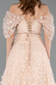 Robe de Soirée Longue Poudre ABU5611
