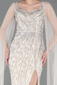 Robe de Soirée Longue Pierreux Beige ABU5751