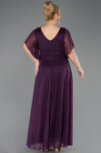 Robe De Soirée Grande Taille Longue Violet ABU5323