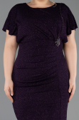 Robe De Soirée Grande Taille Midi Violet ABK2535