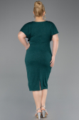 Robe De Soirée Grande Taille Midi Émeraude ABK2535