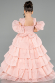 Robe de Mariage Pour Enfant Longue Poudre ABG184