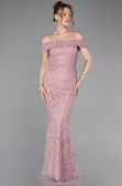 Robe de Soirée Longue Perlé Poudre ABU5915