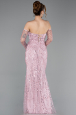 Robe de Soirée Longue Perlé Poudre ABU5922