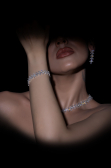 Set d'Accessoires Swarovski TK210