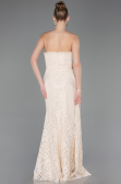 Robe Queue de Poisson Longue Dantelle Beige ABU5975