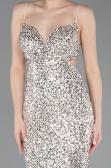 Robe de Soirée Longue Beige ABU5980