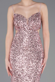 Robe de Soirée Longue Poudre ABU5980