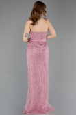Robe de Soirée Longue Perlé Poudre ABU5988