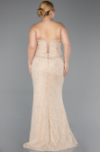 Robe De Soirée Grande Taille Longue Dantelle Beige ABU5994