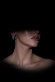 Boucle d'Oreille Argent BT1162