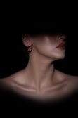 Boucle d'Oreille Or DF1018