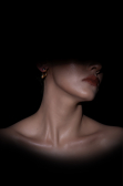 Boucle d'Oreille Or DF1033