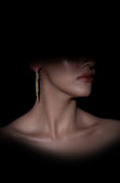 Boucle d'Oreille Or DF1053