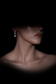 Boucle d'Oreille Argent LZ1106