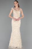 Robe de Soirée Longue Beige ABU6059