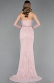 Robe de Soirée Longue Dantelle Poudre ABU6060