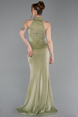 Robe de Soirée Longue Vert Huile ABU6083