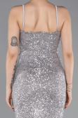 Robe de Soirée Longue Argent ABU6106