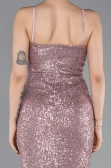 Robe de Soirée Longue Poudre ABU6106