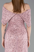 Robe de Soirée Longue Dantelle Poudre ABU6119