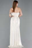 Robe de Soirée Longue Beige ABU6127