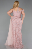 Robe de Soirée Grande Taille Longue Poudre ABU5844