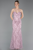 Robe de Soirée Longue Lacé Poudre ABU6159
