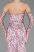 Robe de Soirée Longue Lacé Poudre ABU6159