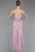 Robe de Soirée Longue Lacé Poudre ABU6159