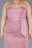 Robe de Soirée Grande Taille Longue Perlé Poudre ABU5989