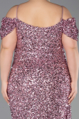Robe De Soirée Grande Taille Longue Poudre ABU5232