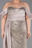 Robe De Fiançailles Grande Taille Squameuse Longue Beige ABU4086
