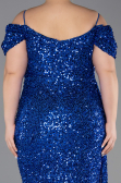 Robe De Soirée Grande Taille Longue Bleu Saxe ABU5232